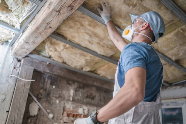 Best DIY Insulation Kits and Guidance in Buckner, MO