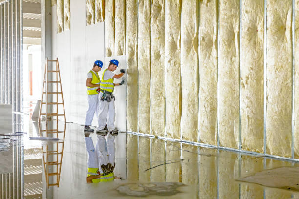 Best Fiberglass Insulation in Buckner, MO